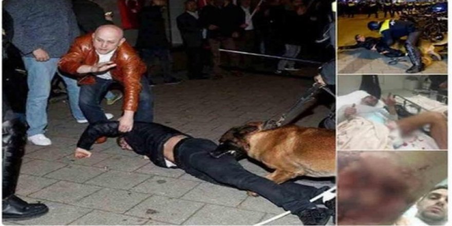 Tirkiye ji Hollandayê re 2 hişdariyên dîplomatîk da