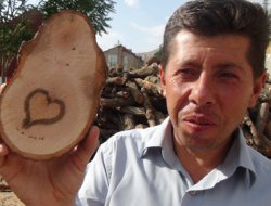 Kesilen Ağaçtaki Kalp Şekli Şaşırttı