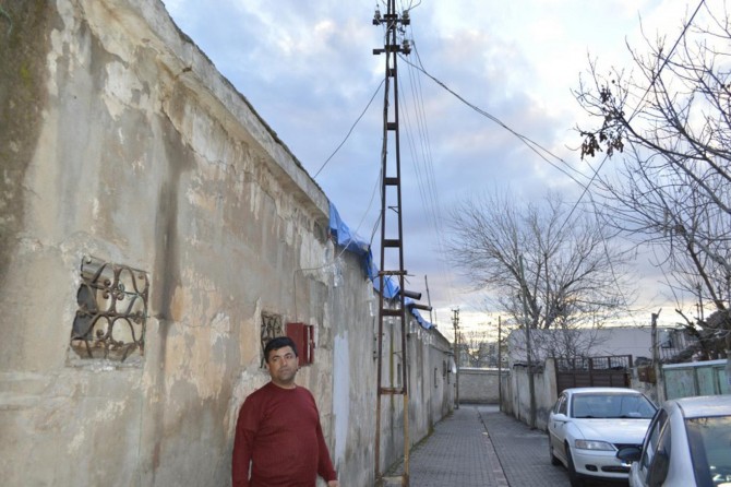 Xetereya dîreka ceyranê ya li kêleka xênî