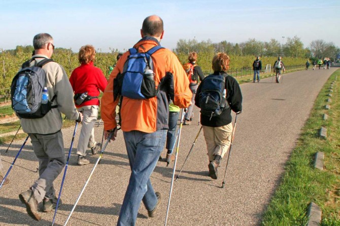 Pulmoner rehabilitasyon nedir?