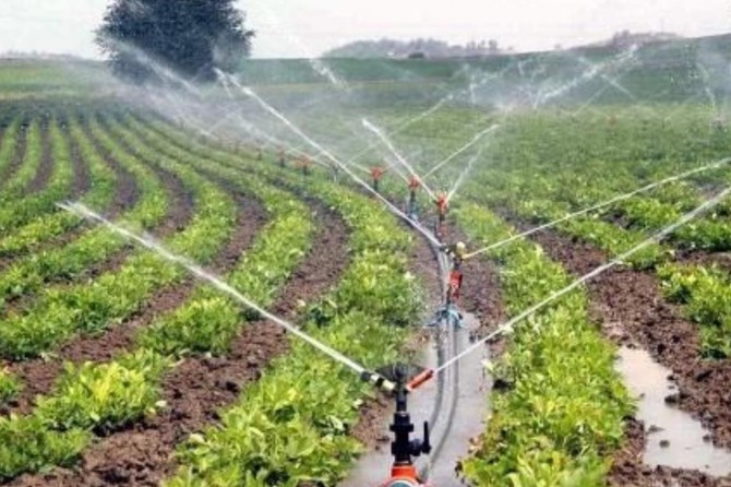 Van’da 28 bin çiftçiye destekleme ödemeleri yapıldı