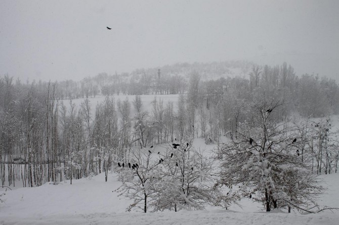 Bu yıl mart kapıdan bile baktırmıyor