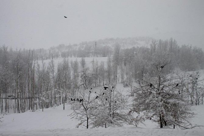 March came in like a lion but not goes out like a lamb