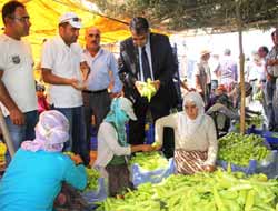 Van'da Sebze Üretiminde Sevindiren Artış