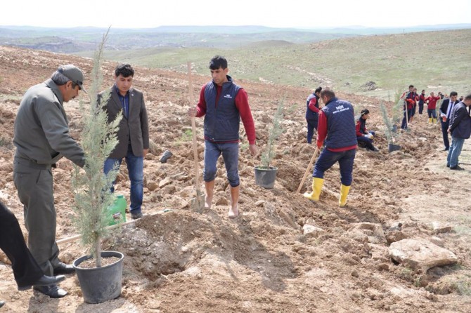 Batman’da bin fidan dikildi