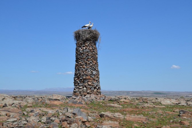 Leylekler için 6 metre yüksekliğinde kule yaptılar