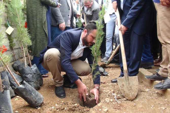 Mardin Kızıltepe'de salavatlar eşliğinde fidan dikimi