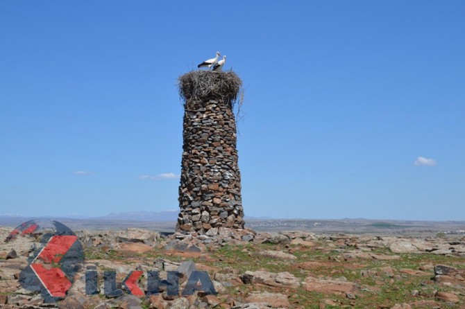 They built a 6 meter high tower for storks