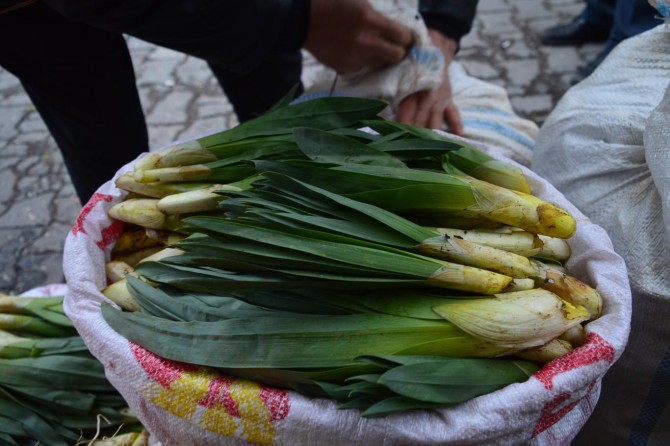 Baharın müjdecisi 'çiriş otu' tezgâhlarda