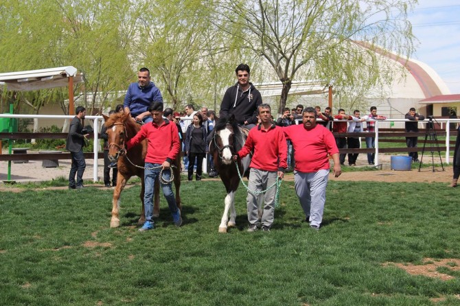 Engellilere Kayapınar Belediyesinden at terapisi