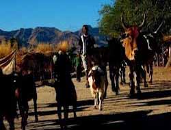 Li Madagaskarê Şer