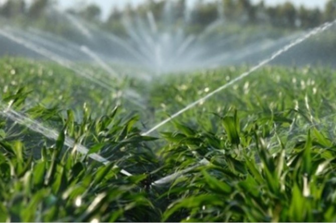 163 bin dekar zirai alan suyla buluşacak