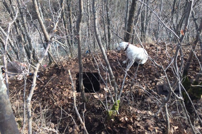 Penageheke PKKê hat îmhakirin