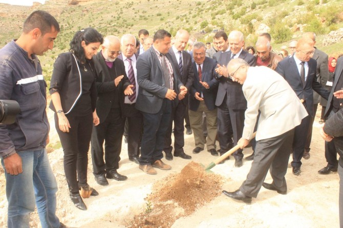 Mardin’de 2 bin zeytin ağacı dikildi