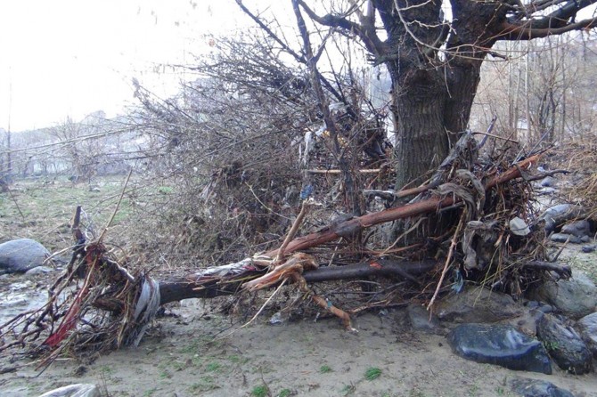 Sel nedeniyle köprü yıkıldı onlarca hayvan telef oldu