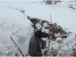 Yardım Gitmezse 200 Hayvan Telef Olacak