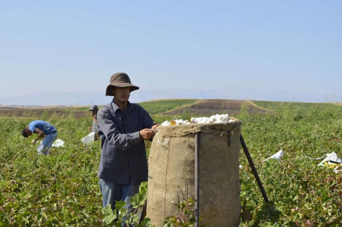Mevsimlik tarım işçileri hakkında genelge yayımlandı