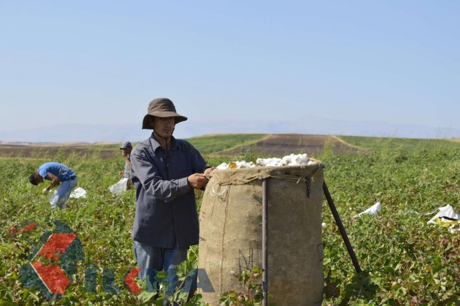Di derheqê karkerên demsalî de giştîname hat weşandin