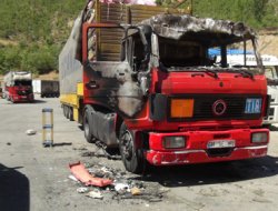 PKK'lılar Bitlis'te Yol Kestiler