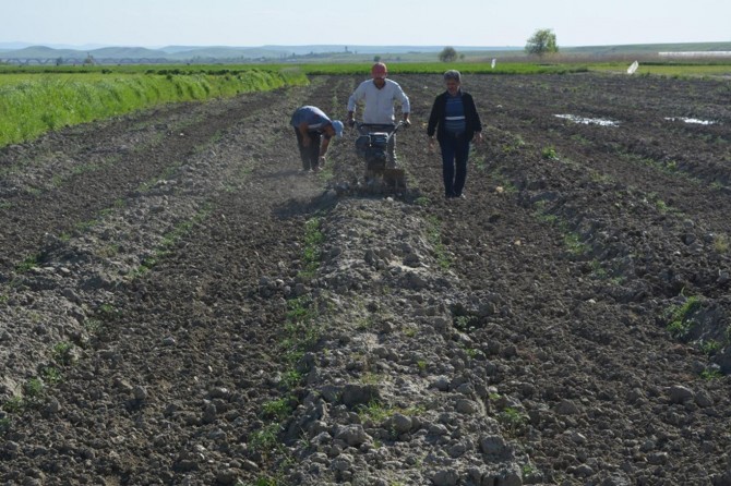 Batmanlı çiftçiler sebze ekimine başladı