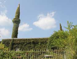 Sarmaşıklarla Kaplı Yeşil Cami