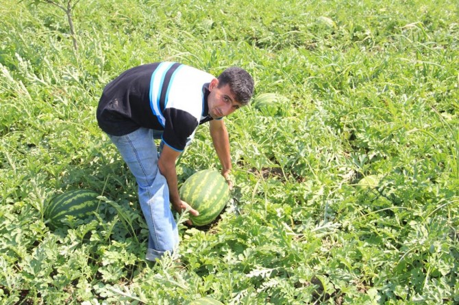Genç çiftçi desteği başvurularında son 3 gün