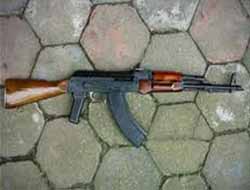 Pkkê Li Geverê Cerdevanek Kuşt