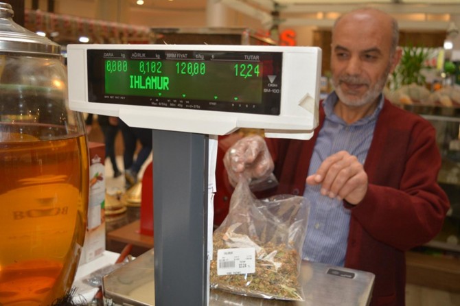 Şifalı bitki ıhlamur cep yakıyor