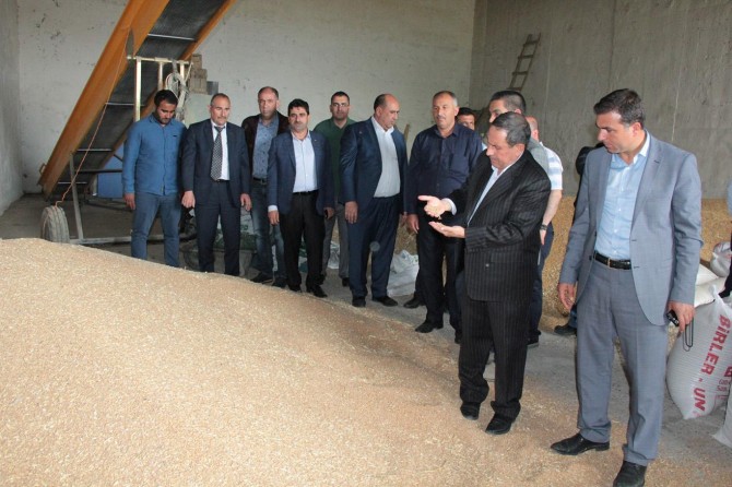 Gaziantepli hububatçılardan Güneydoğu çıkarması