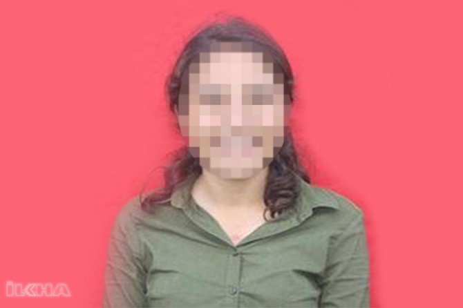 Li Stenbolê operasyona DHKP-Cyê