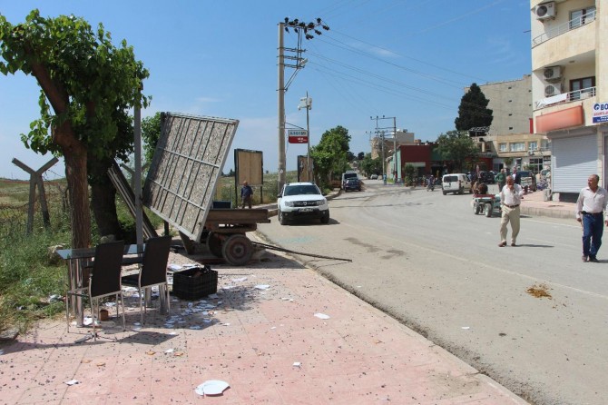 Mardin Nusaybin'de huysuzlaşan at ortalığı birbirine kattı