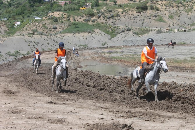 Mardin’de rahvan atları yarışı yapıldı