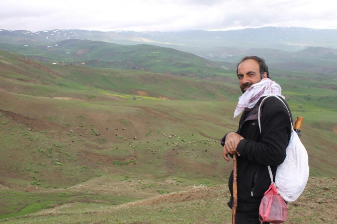 "Soğuk hava meraları kötü etkiledi"