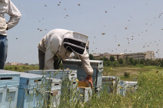Bal üreticileri satışlarda zorlanıyor