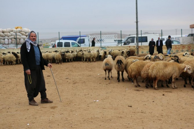 Besiciler devletten destek bekliyor