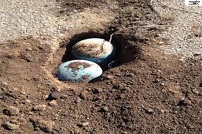 Muş’ta yola döşenen el yapımı patlayıcı imha edildi