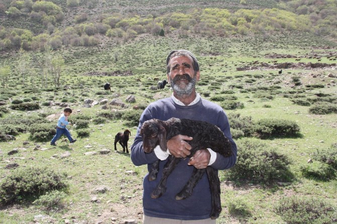 Yayla yolculuğundaki göçerler dertli