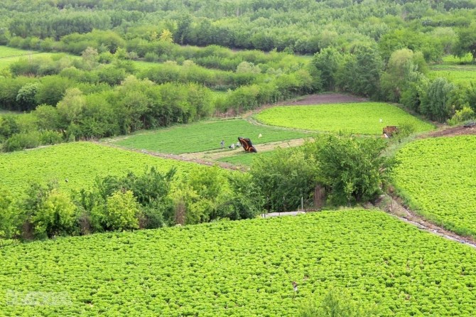 Cotkar ji komîsyonvanan gilîdar in