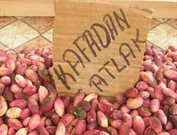 Bunların Hepsi Kafadan Çatlak