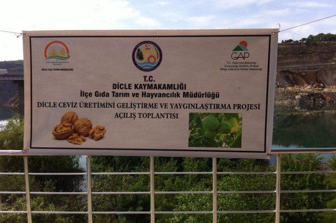 Dicleli çiftçilere ceviz fidanı dağıtıldı
