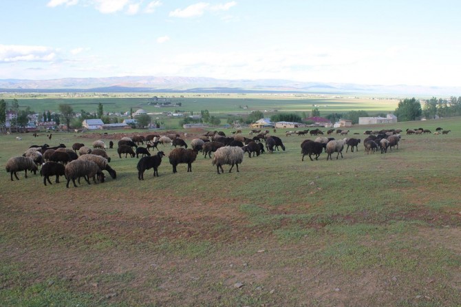 "Devlet tarım ve hayvancılığa daha fazla destek vermeli"