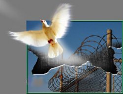 Medrese-i Yusufiye`den Bayram Nesimi