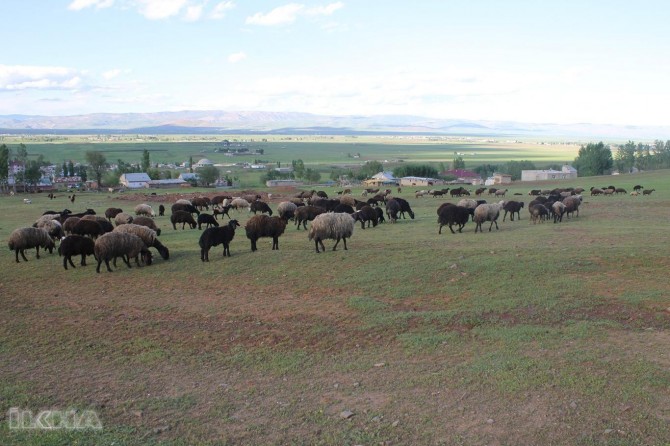 “Bila dewlet zêdetir destekê bide cotkarî û ajaldariyê”