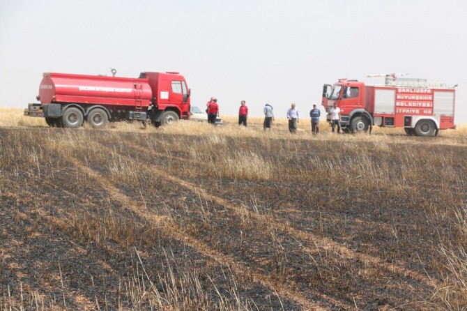 Şanlıurfa Yukarı Koymat'ta kopan elektrik teli yüzlerce dönümlük tarlayı küle çevirdi