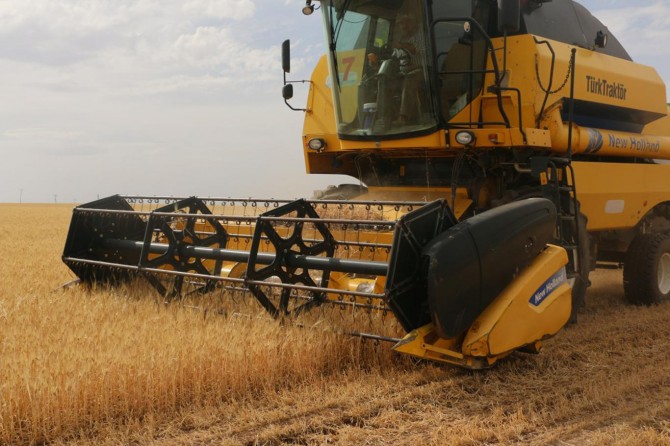Şanlıurfa’da yılın ilk hasadı başladı