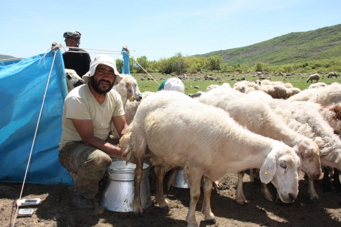 "Devletin hayvancılığı destekleme politikası yeterli değil"