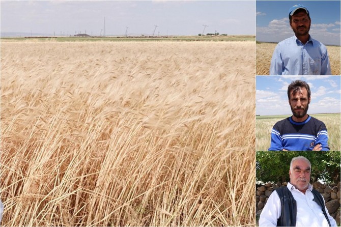 Çiftçilerin elektrik çilesi bitmiyor