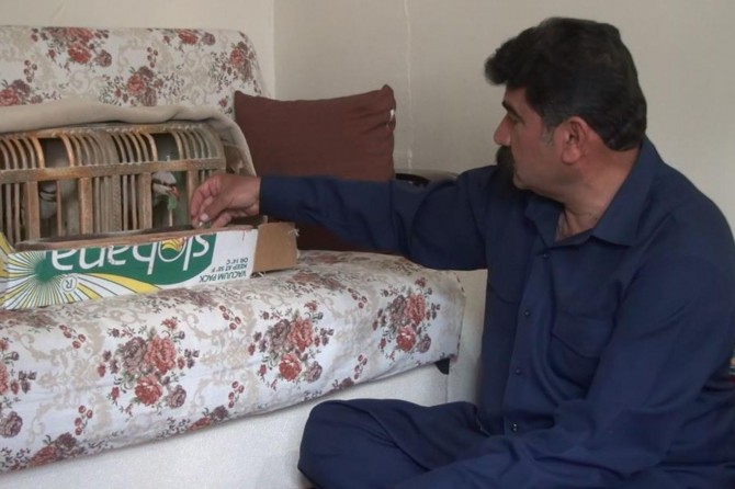 Keklik beslemek Doğu ve Güneydoğuda kültürel bir sevgidir