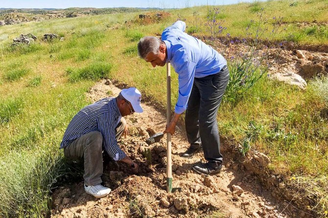 “Verimlilik Haftası” kapsamında fidan dikimi yapıldı