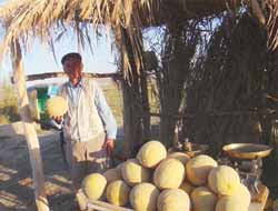 Alaköy Kavunu Yediniz mi?